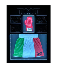 Floyd Mayweather Signed Replica Shorts And Glove With Lights Display